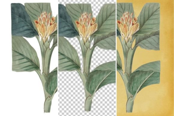 Download Vintage Flower Wall Art Printable - Wall art printable Collection