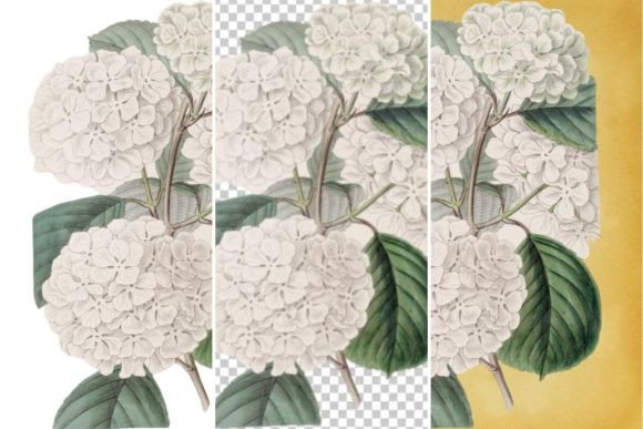 Download Vintage Flower Wall Art Printable - Wall art printable Collection