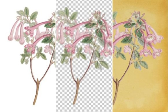 Download Vintage Flower Wall Art Printable - Wall art printable Collection
